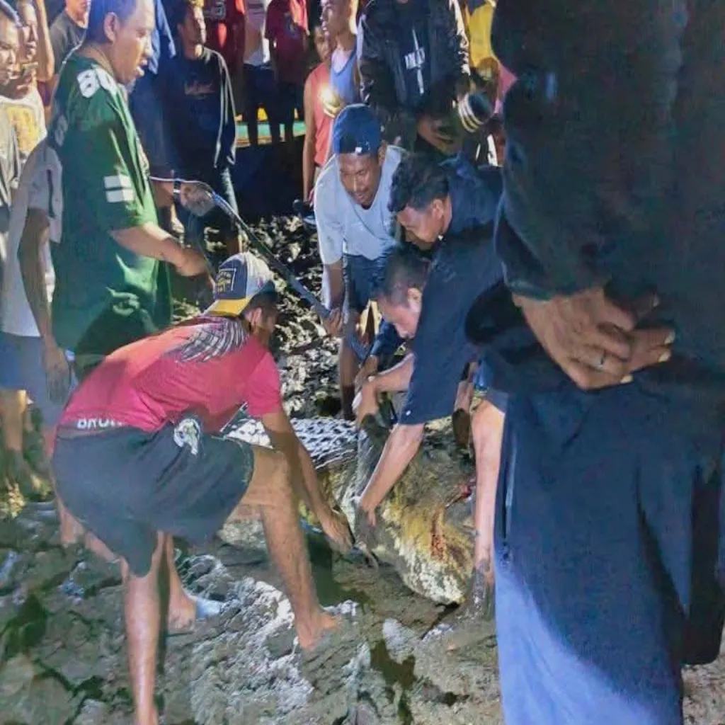 Remaja Wetar Tewas Diterkam Buaya, Sungai Letahu Kembali Menelan Korban